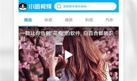 在线播放小视频,在线播放小视频的精彩瞬间回顾