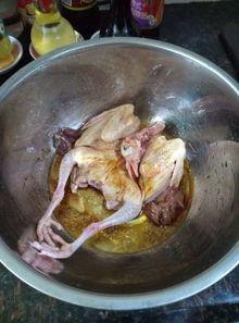 烤鸽子的做法视频教程